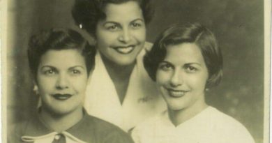 farkli yorum 25 kasim in önemi