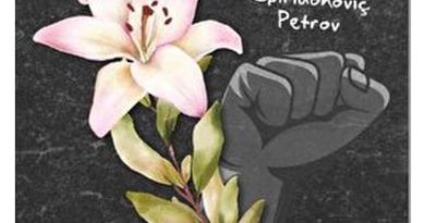 farkli yorum | Author Mehmet Ali Yazici | Beyaz Zambaklar ülkesinde