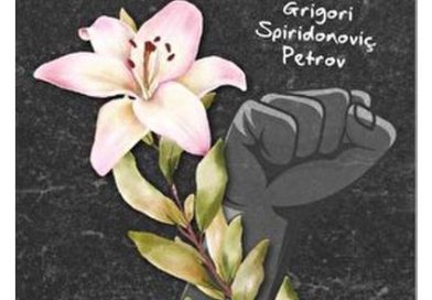 farkli yorum | Author Mehmet Ali Yazici | Beyaz Zambaklar ülkesinde